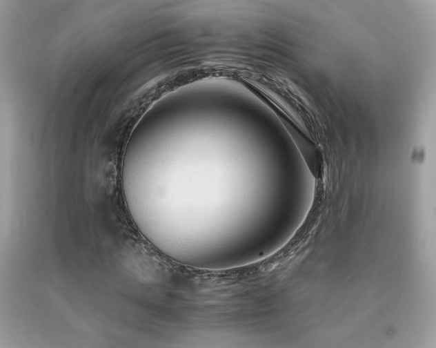 X0000091980821200709061352