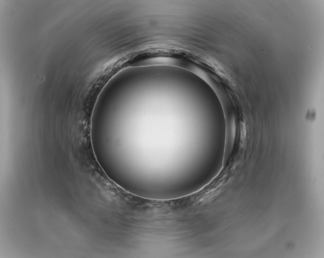 X0000091980822200709061352