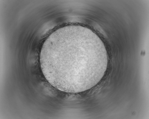 X0000091980824200709061352