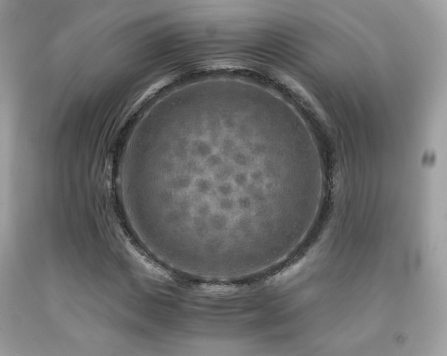 X0000091980825200709061352