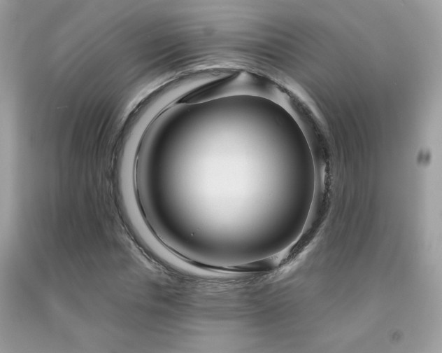 X0000091980826200709061352