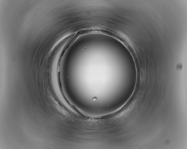 X0000091980827200709061352