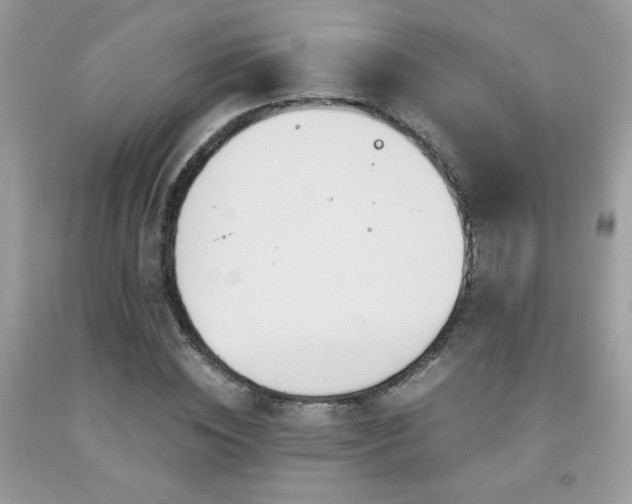 X0000091980828200709061352