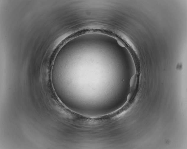 X0000091980829200709061352