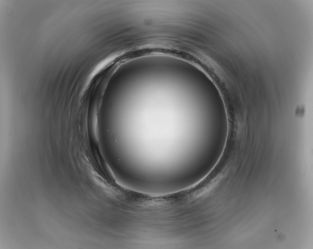 X0000091980830200709061352