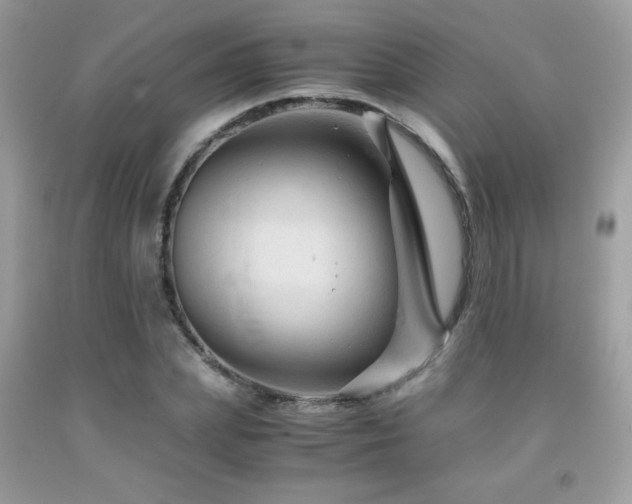 X0000091980831200709061353