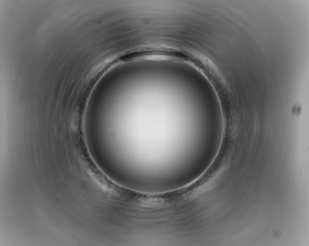 X0000091980833200709061353