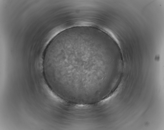 X0000091980835200709061353