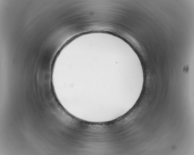 X0000091980836200709061353