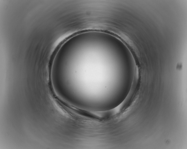 X0000091980838200709061353