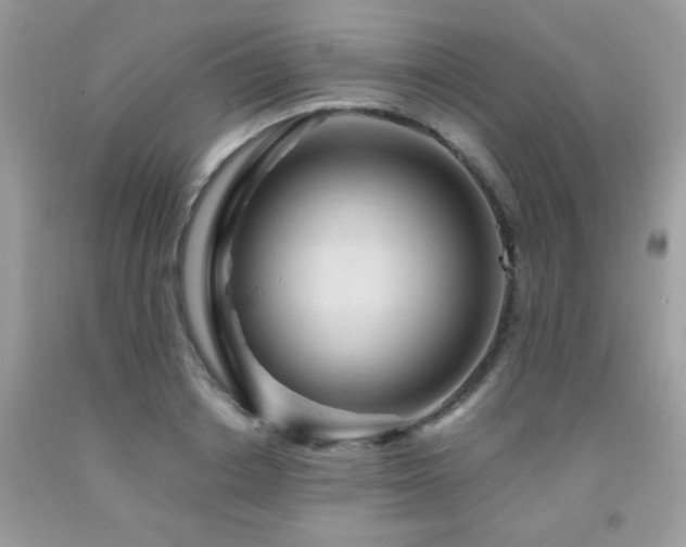 X0000091980842200709061353