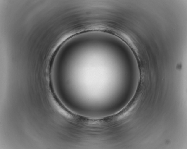 X0000091980843200709061353