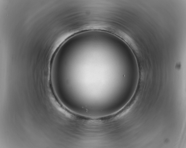 X0000091980844200709061353