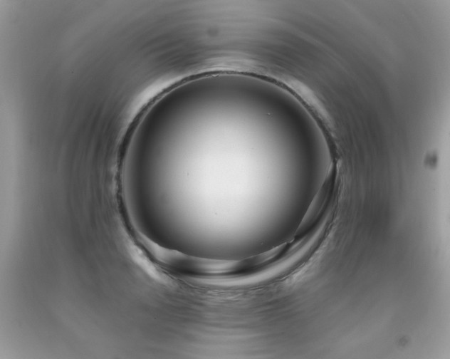 X0000091980846200709061353