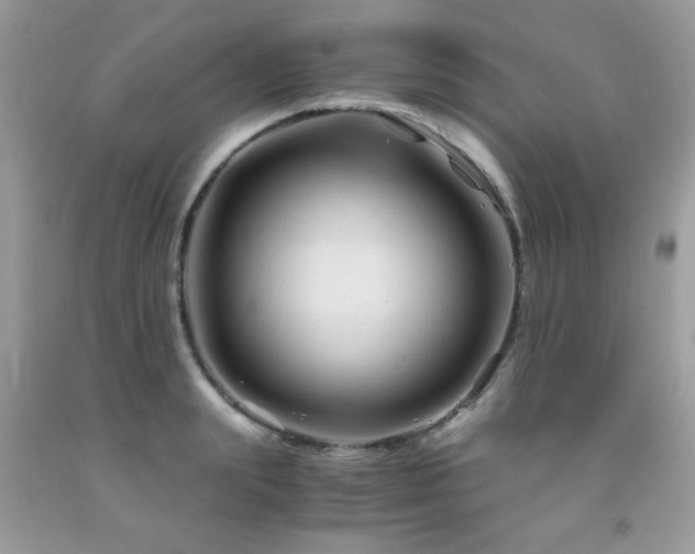 X0000091980847200709061353