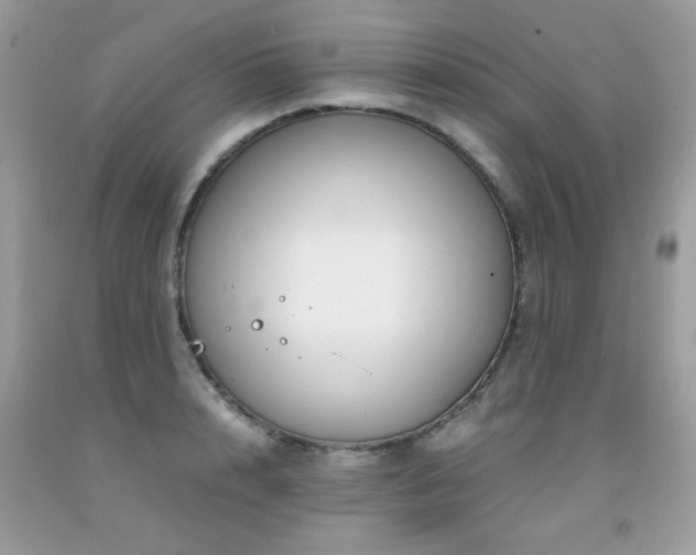 X0000091980848200709061353