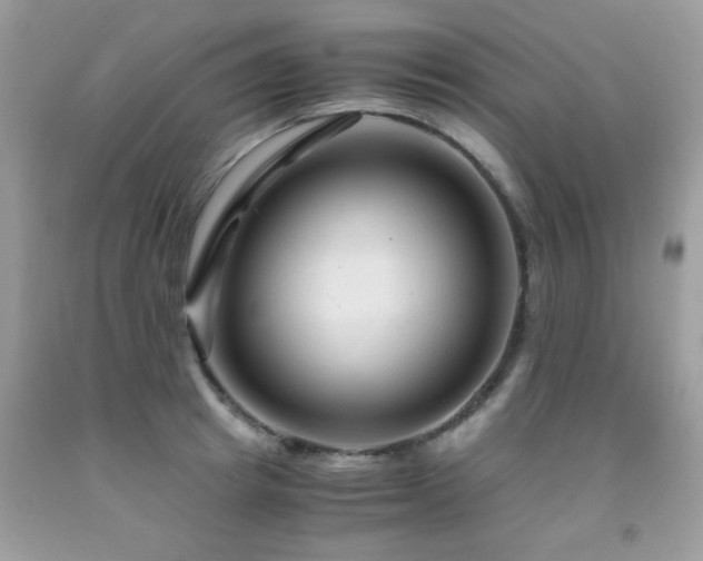 X0000091980849200709061353