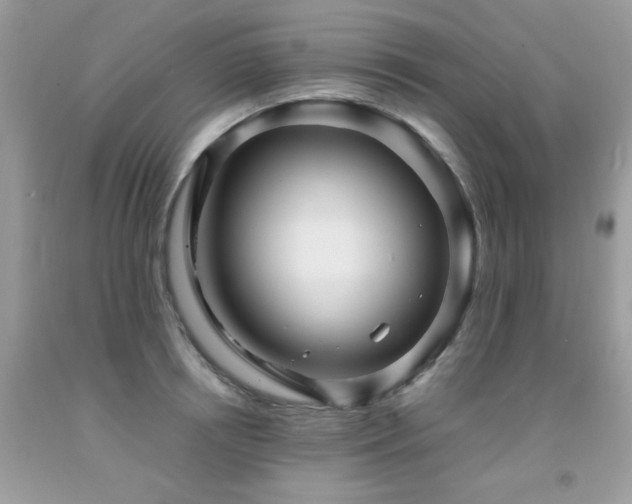 X0000091980850200709061353
