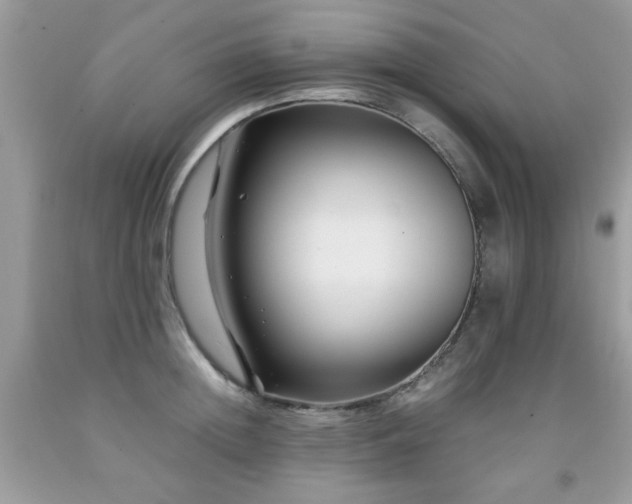 X0000091980852200709061353