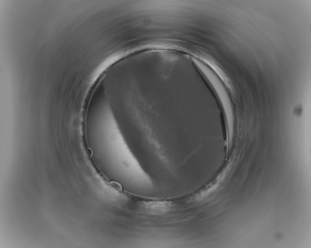 X0000091980853200709061353