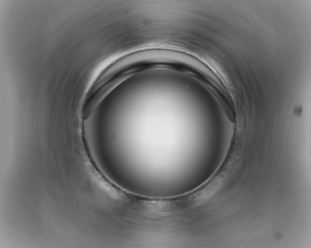 X0000091980854200709061353