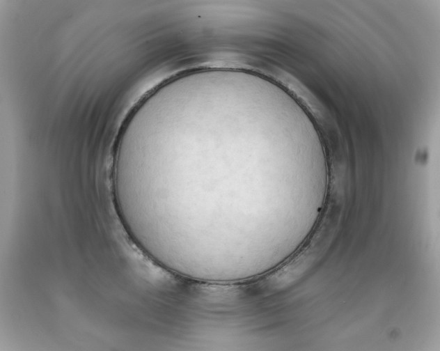 X0000091980856200709061353