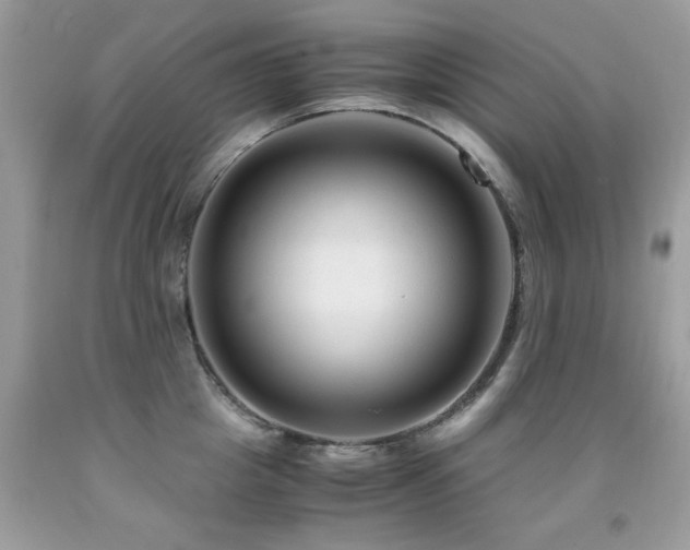 X0000091980857200709061353