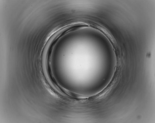 X0000091980858200709061353