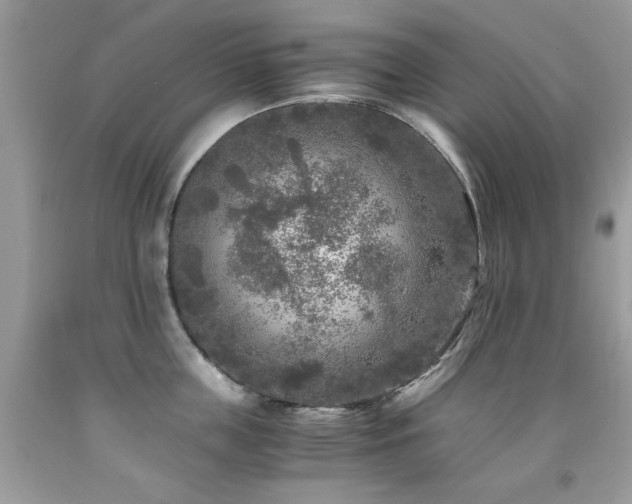 X0000091980859200709061353
