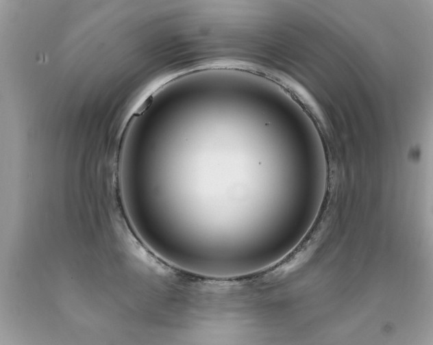X0000091980860200709061353