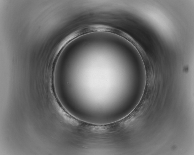 X0000091980861200709061353