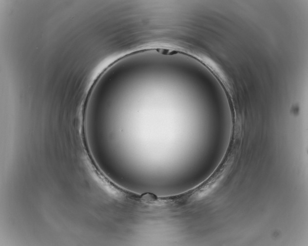 X0000091980862200709061353