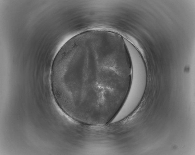 X0000091980863200709061353