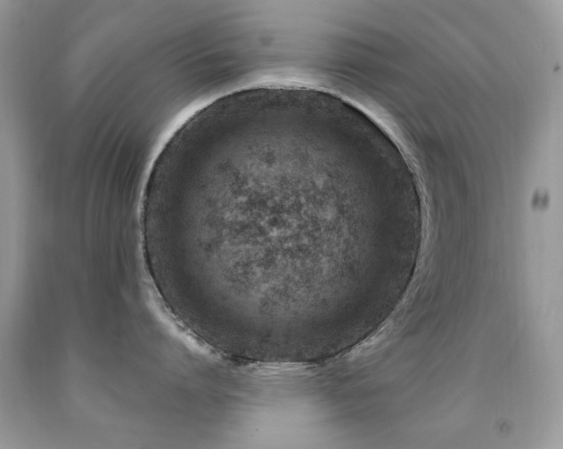 X0000091980864200709061353