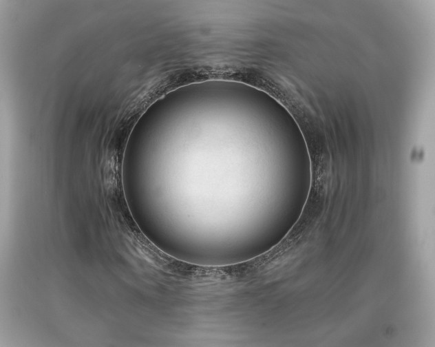 X0000091980866200709061352