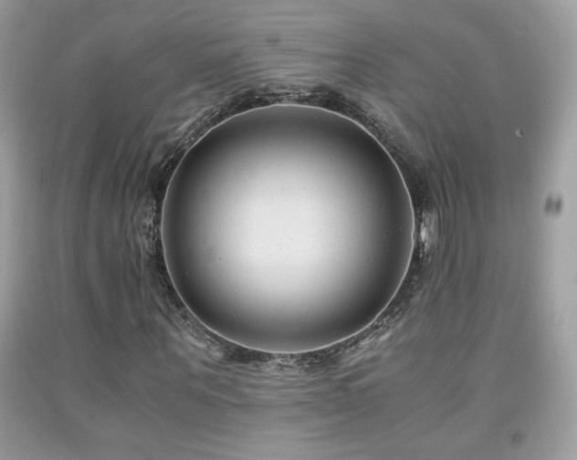 X0000091980867200709061352