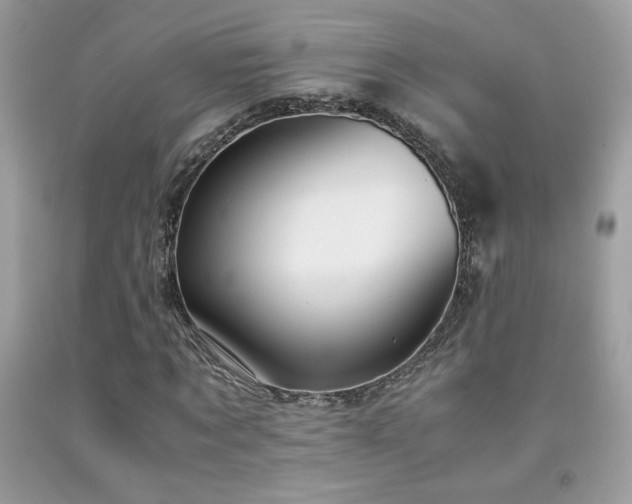 X0000091980869200709061352