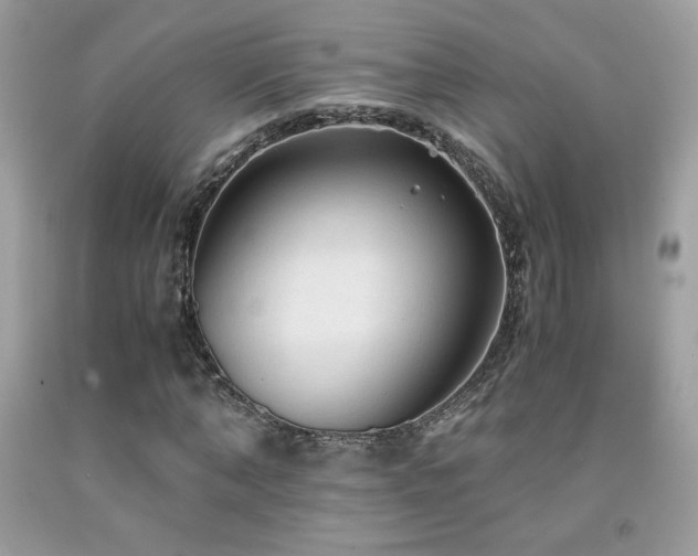 X0000091980870200709061352