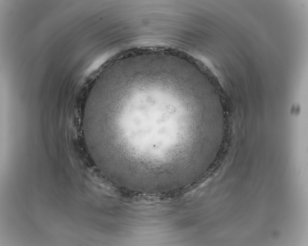 X0000091980871200709061352
