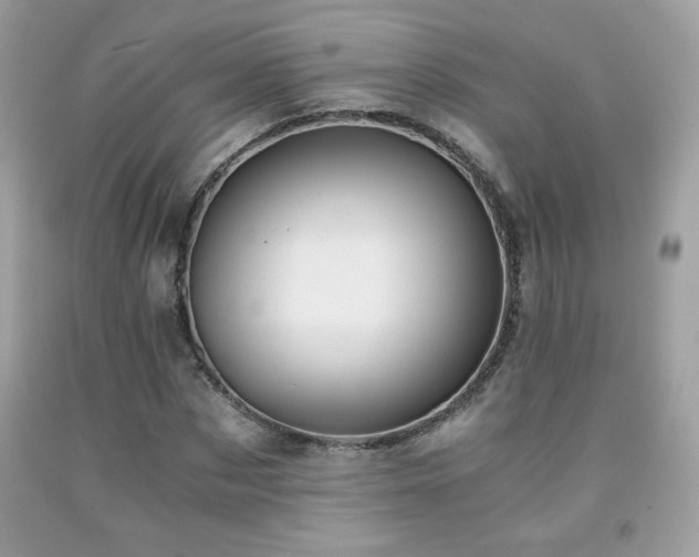 X0000091980873200709061352