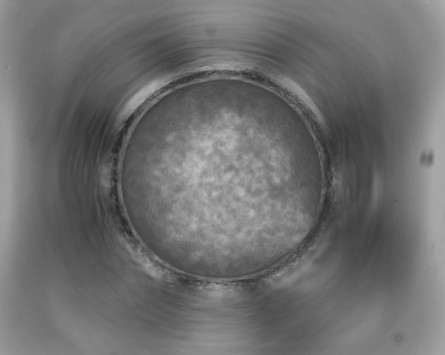 X0000091980874200709061352