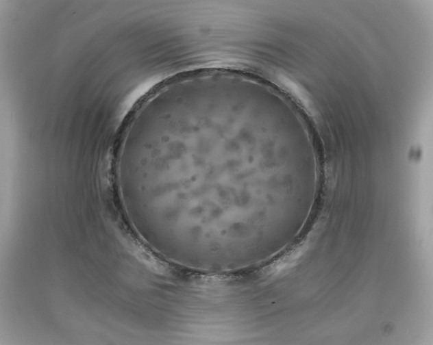 X0000091980875200709061352