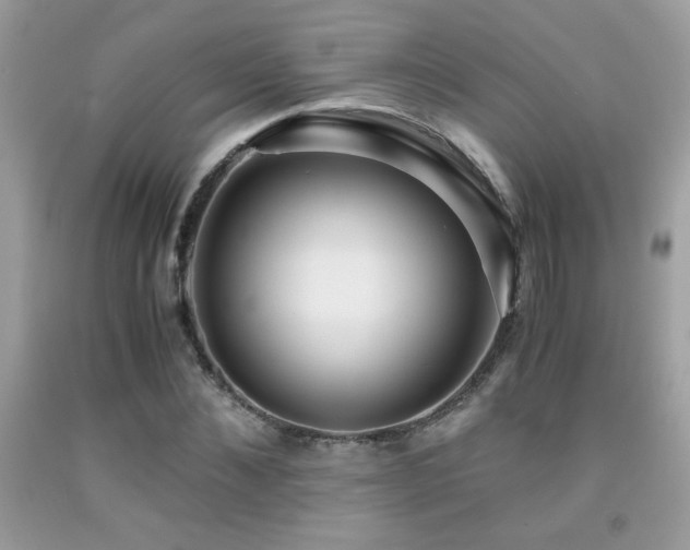 X0000091980876200709061352