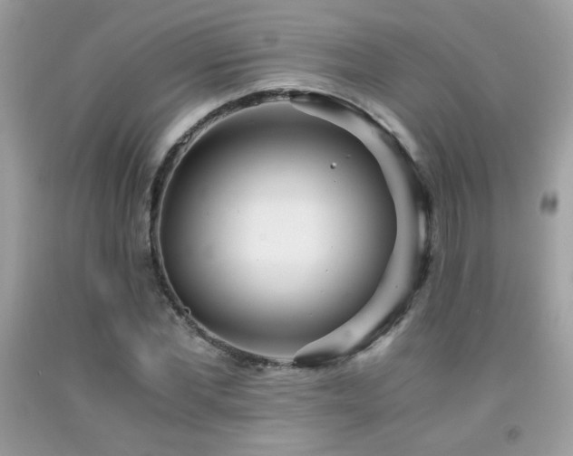 X0000091980877200709061352