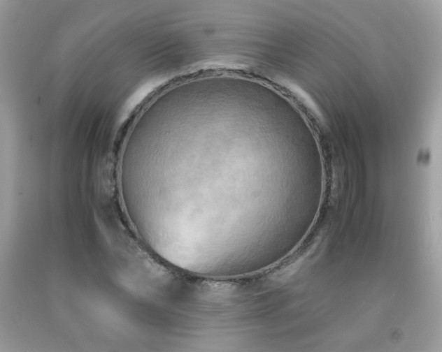 X0000091980878200709061352