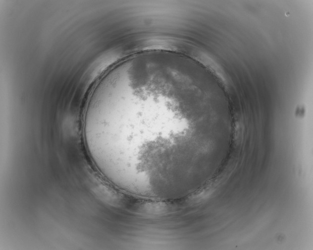 X0000091980882200709061352