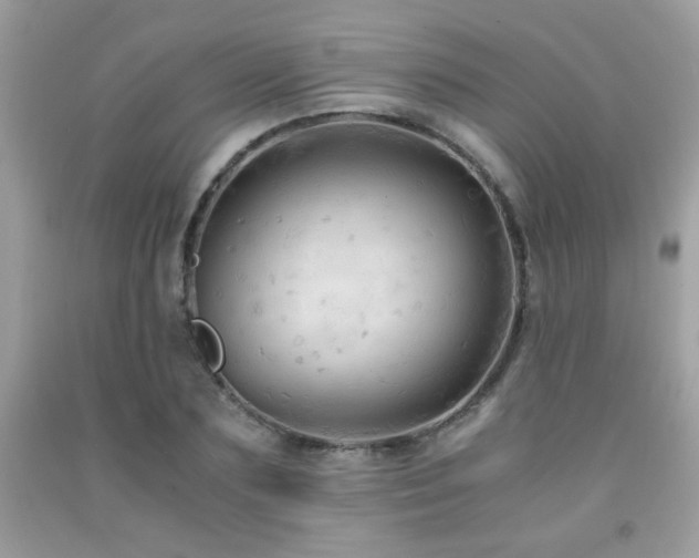 X0000091980883200709061352