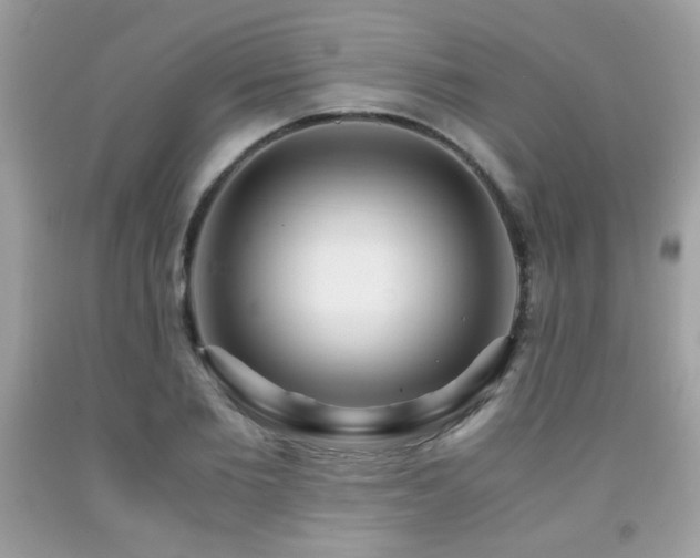 X0000091980885200709061352