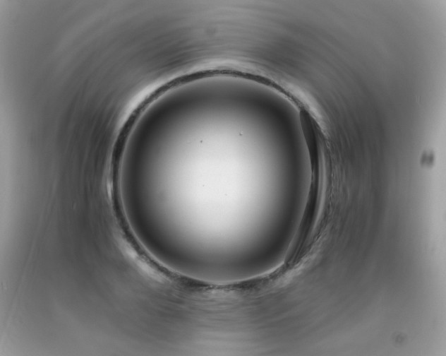 X0000091980888200709061352