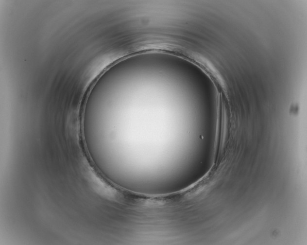 X0000091980890200709061352